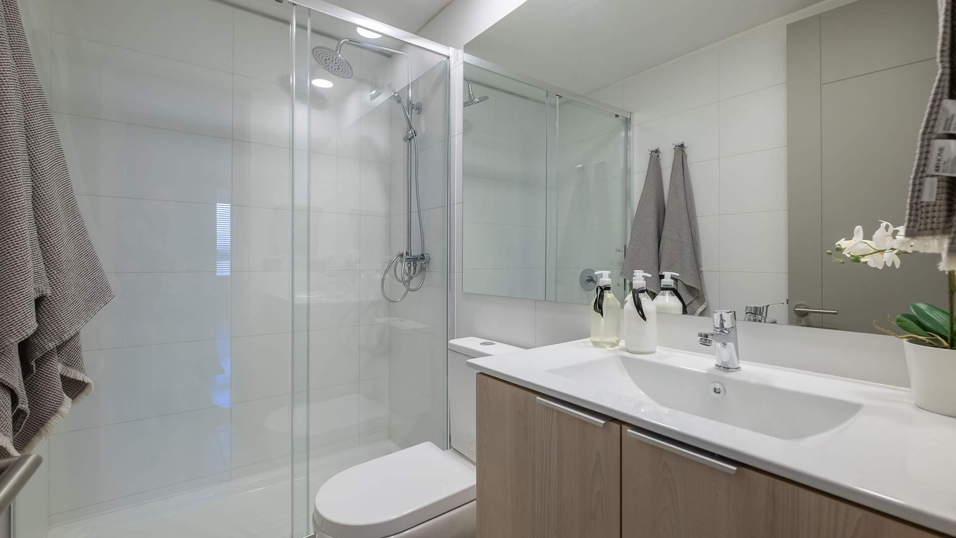 Coipué — imagen 59