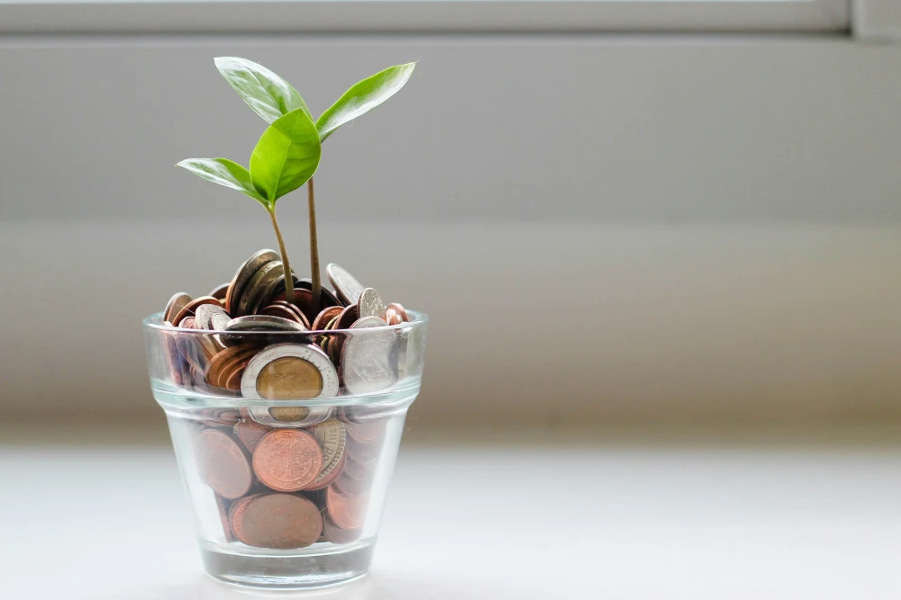 maceta de vidrio llena de monedas de euto con planta creciendo haciendo alución a seguridad financiera